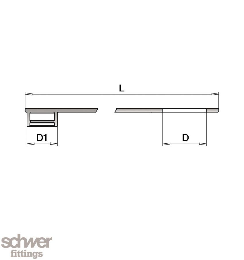 Dust Cap with Strap: for plug